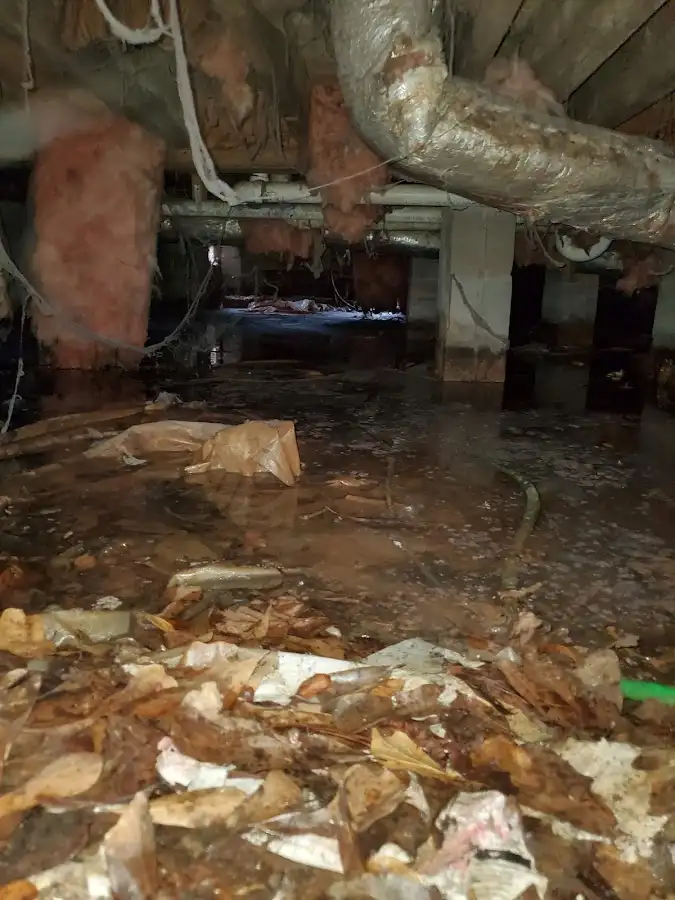 Crawl space flood assessment for Commercial Water Damage Restoration in Kermit