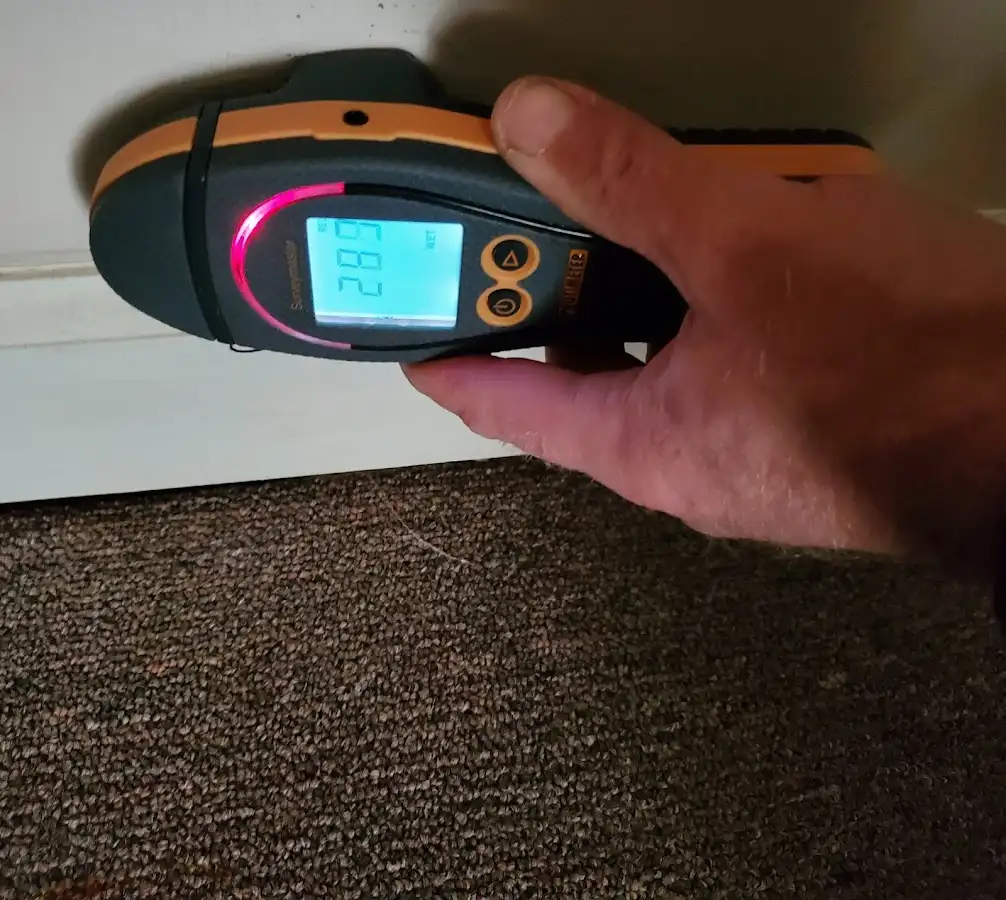 Moisture detection at baseboard during Mold Inspection & Testing in Kermit